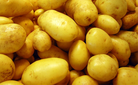 potatoes