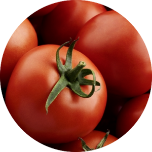 tomatoes
