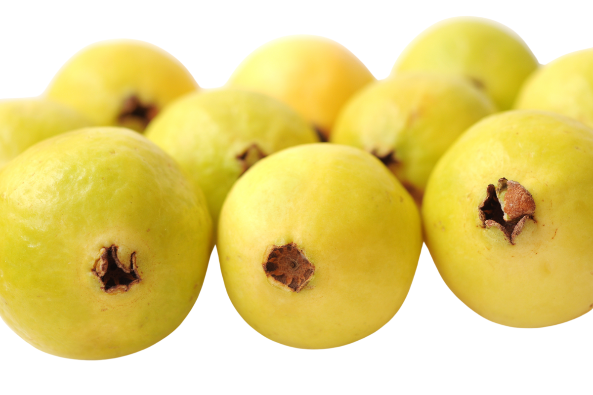 Guava Pulp